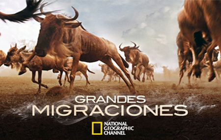 Grandes_Migraciones