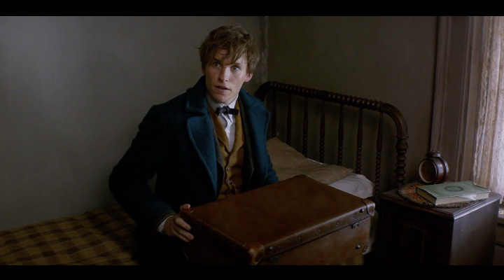 Fantastic Beasts