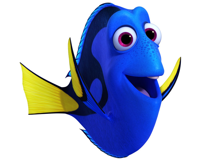 Dory