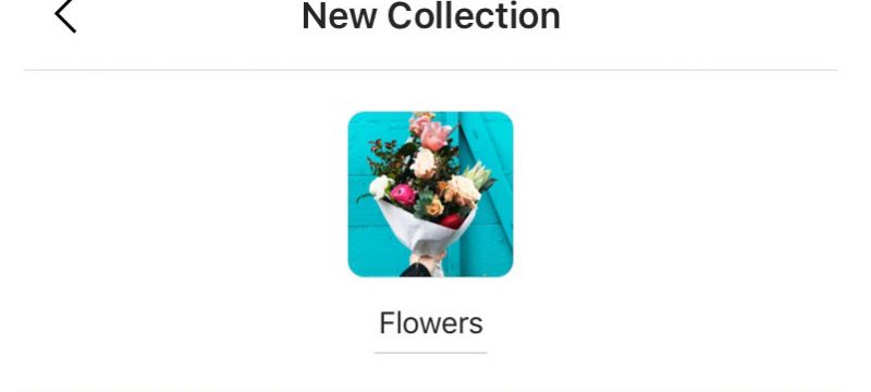 Publicaciones Colecciones Privadas