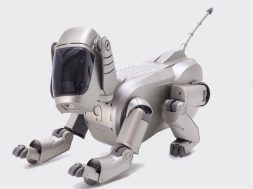 Aibo regresa 2018