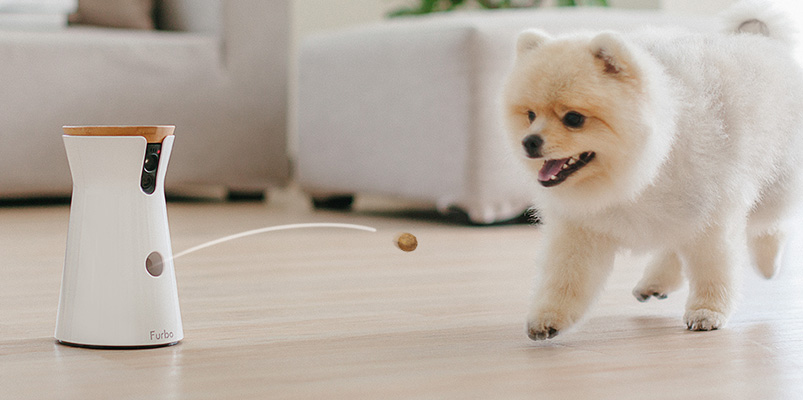 El Internet de las Cosas beneficia a las mascotas y sus dueños