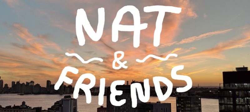 Nat and Friends Pixel 2