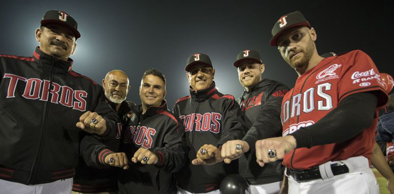 Liga Mexicana de Beisbol Twitter Toros