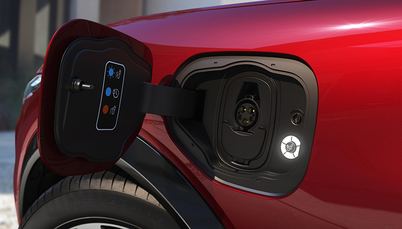 Ford Mustang Mach-E cargador entrada