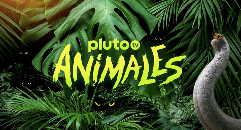 Pluto TV Animales