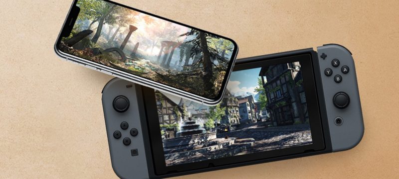 The Elder Scrolls Blades Nintendo Switch
