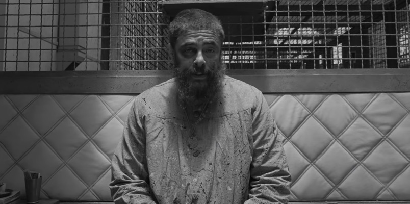 La Cronica Francesa Del toro