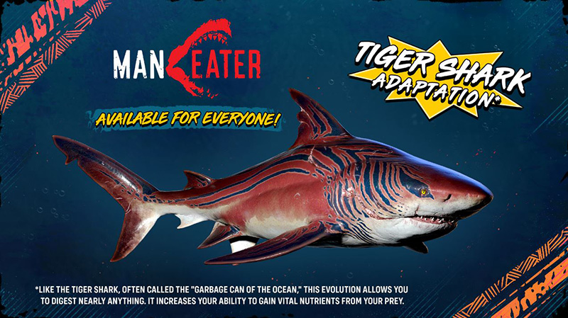 La Semana del Tiburón trae al Tiburón Tigre a Maneater