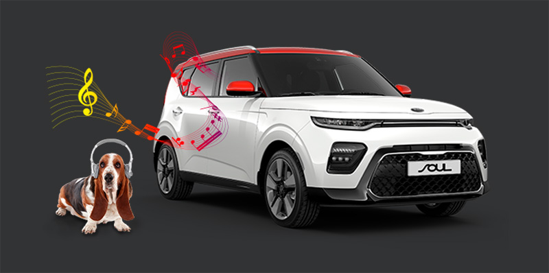 KIA Soul 2020 perros