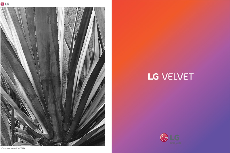 LG Velvet y 14 creadores de contenido muestran México al Amanecer