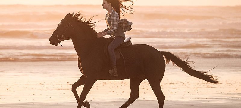 Belleza Negra Disney Plus