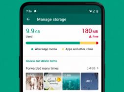 Gestor de archivos de WhatsApp