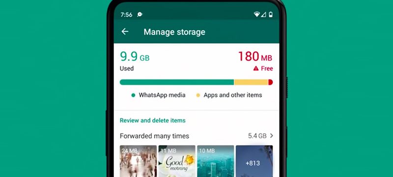 Gestor de archivos de WhatsApp