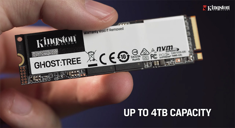 Kingston SSD NVMe CES 2021 Ghost Tree