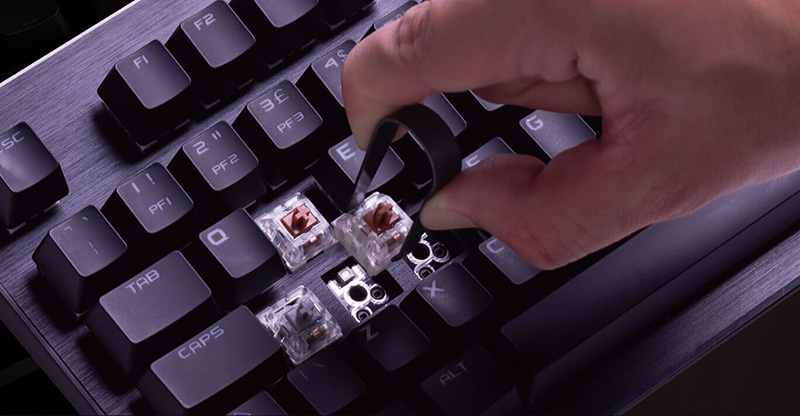 teclados EVGA Z15 y Z20 mecanismo teclas