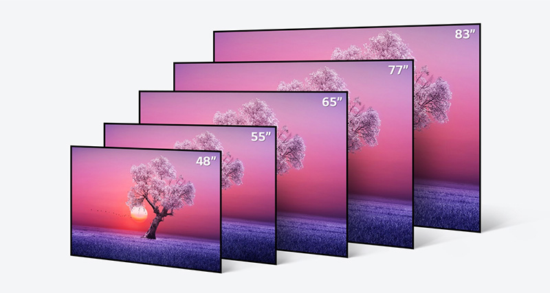 LG OLED 2021 tamanos