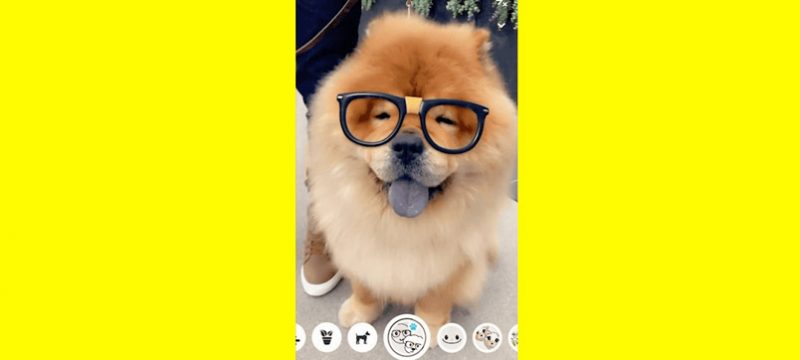 Scan Snapchat perro