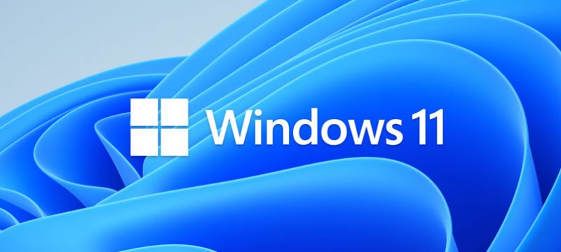Windows 11 logo