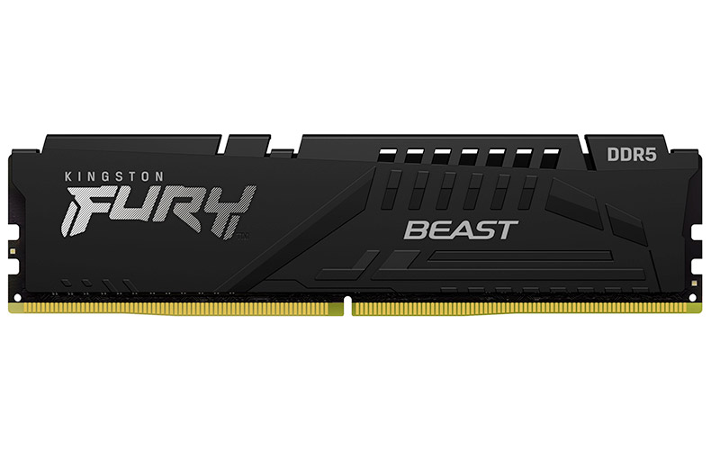 Kingston FURY Beast DDR5 modulo