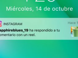 Instagram Reels Visual Replies