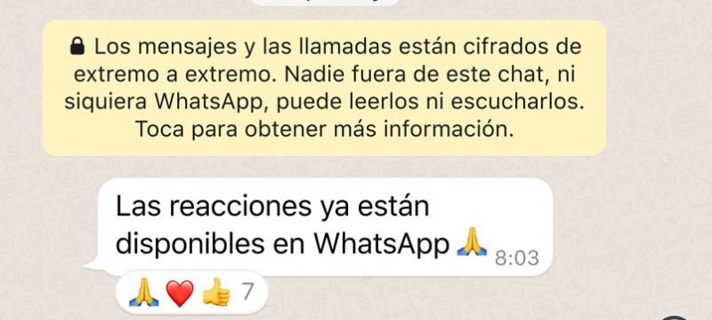 Las reacciones llegaron a WhatsApp y así es como debes usarlas
