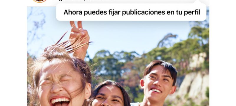 Instagram te deja fijar hasta tres fotografías o Reels en tu perfil