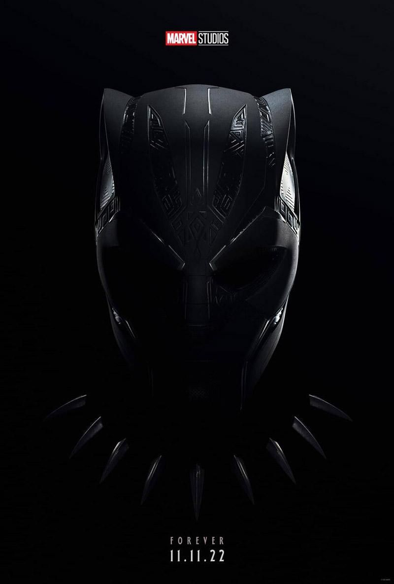 Black Panther Wakanda Forever poster