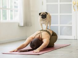 Fitbit yoga mascota