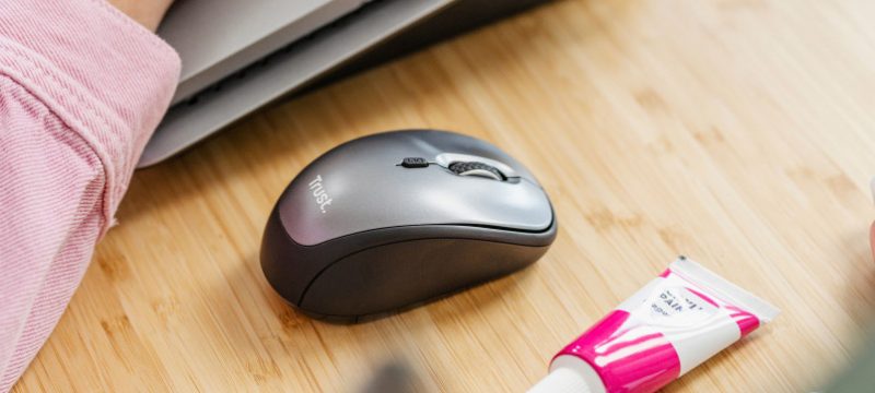 YVI+, Bayo, Fyda Trust