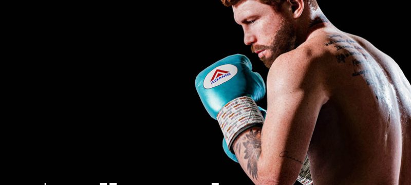 Undisputed Canelo Álvarez