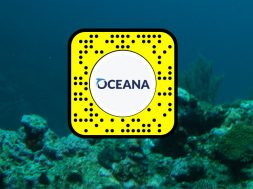 Snapchat y Oceana México