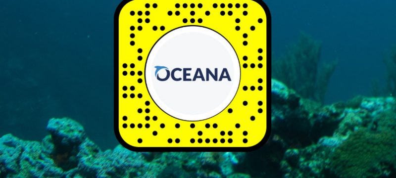 Snapchat y Oceana México
