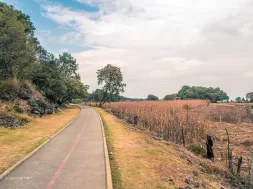 edgar-henriquez carretera