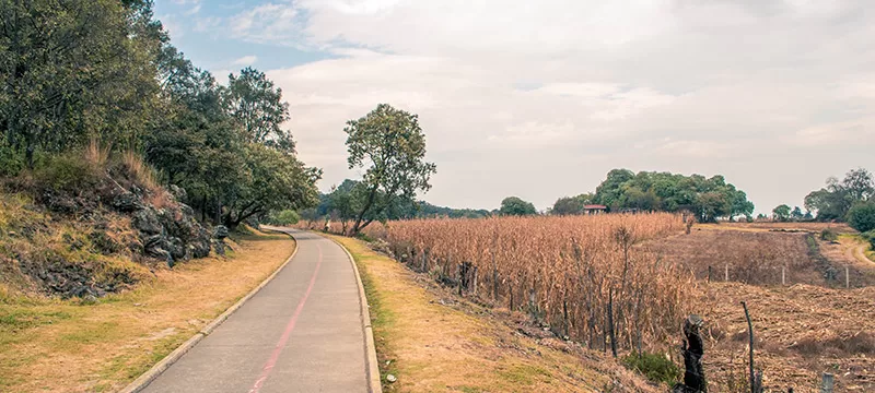 edgar-henriquez carretera