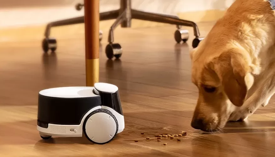 ROLA PetPal es el nuevo robot acompañante para tu mascota