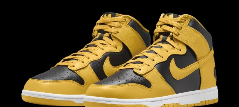 Nike x Wu-Tang Clan Dunk Hi
