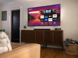 Vacaciones verano reproductores roku (1)