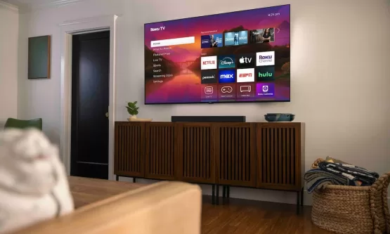 Vacaciones verano reproductores roku (1)