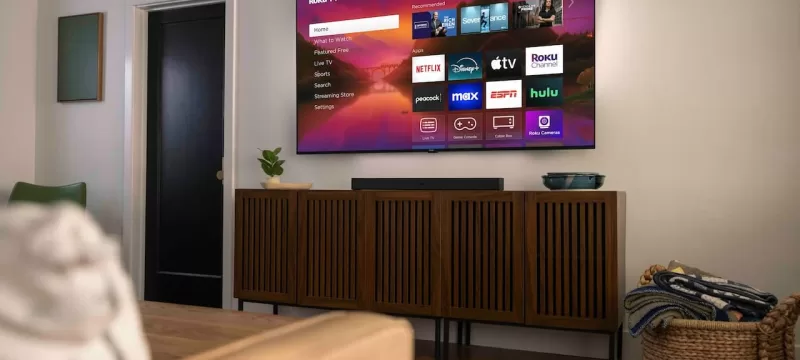 Vacaciones verano reproductores roku (1)