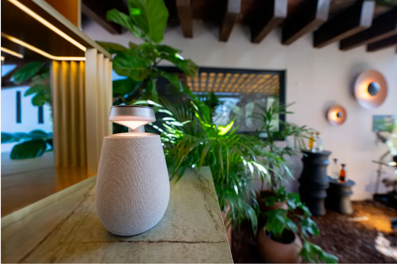 Proyectos que debes disfrutar dentro de la Design House 2025 con tecnología de LG