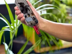 Kingston Dual Portable SSD Mexico