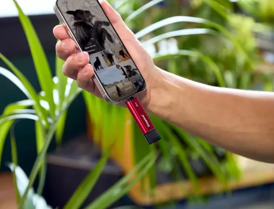 Kingston Dual Portable SSD Mexico