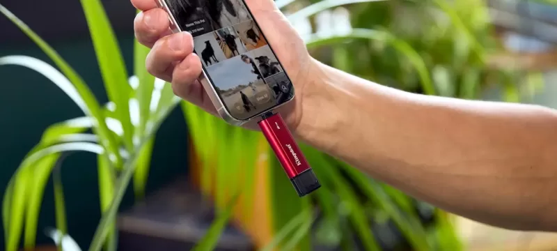 Kingston Dual Portable SSD Mexico