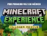 Minecraft Experience Villager Rescue Mexico