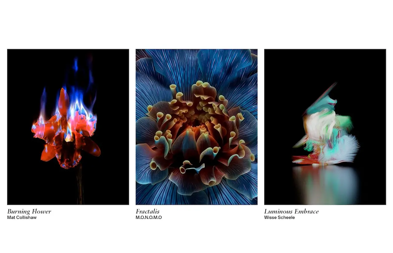 LG Gallery plus Sedition