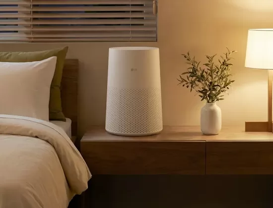 lg puricare aeromini cuarto