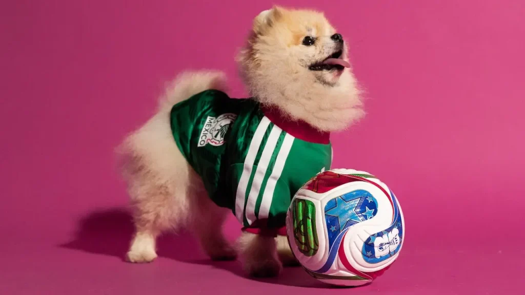 adidas jerseys mascota mexico