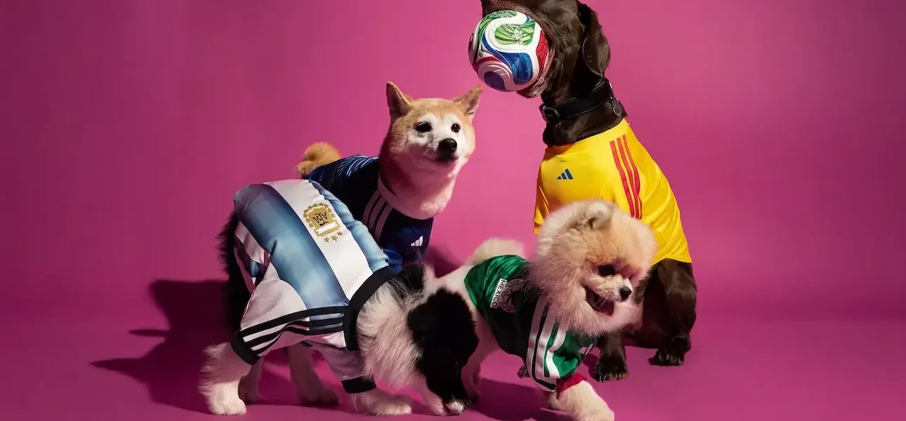 adidas jerseys mascota mexico japon colombia argentina