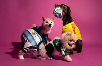 adidas jerseys mascota mexico japon colombia argentina